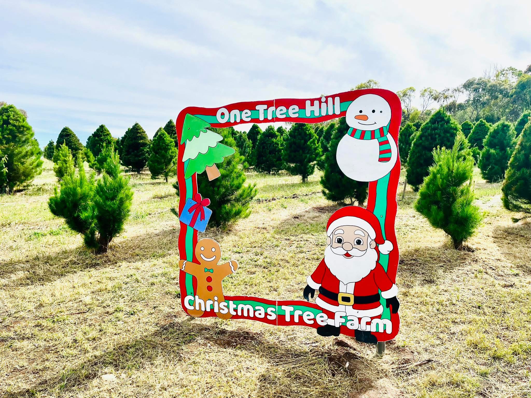 Festive Christmas sign at One Tree Hill Christmas Tree Farm