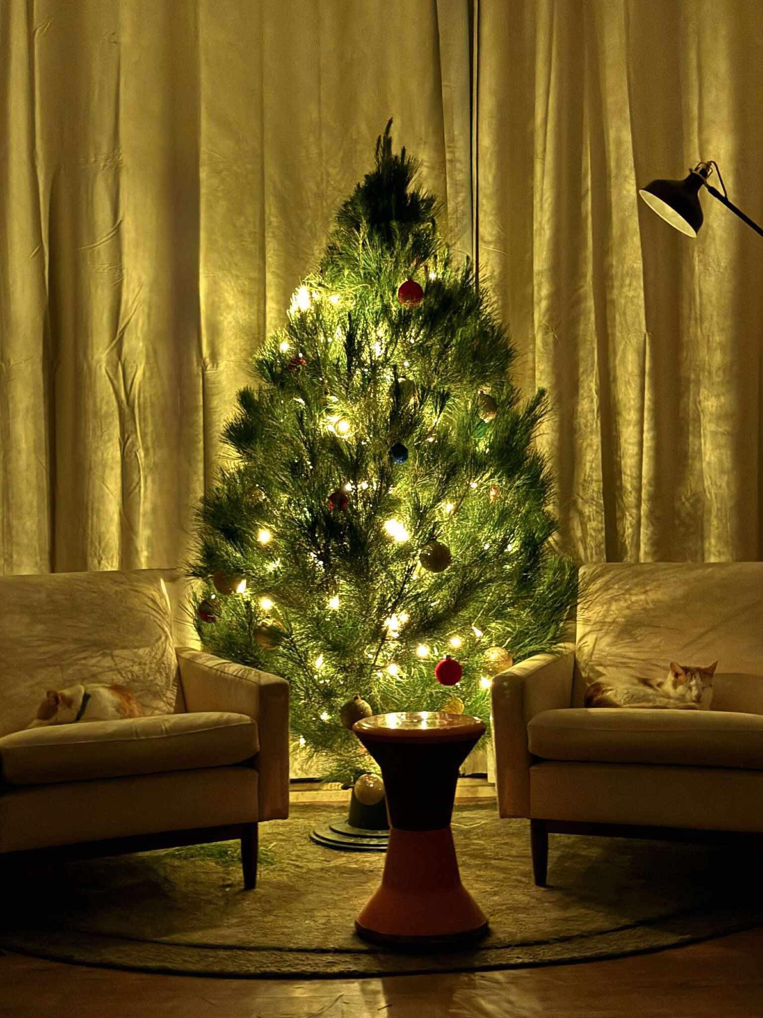 A warmly lit Christmas tree in a living room