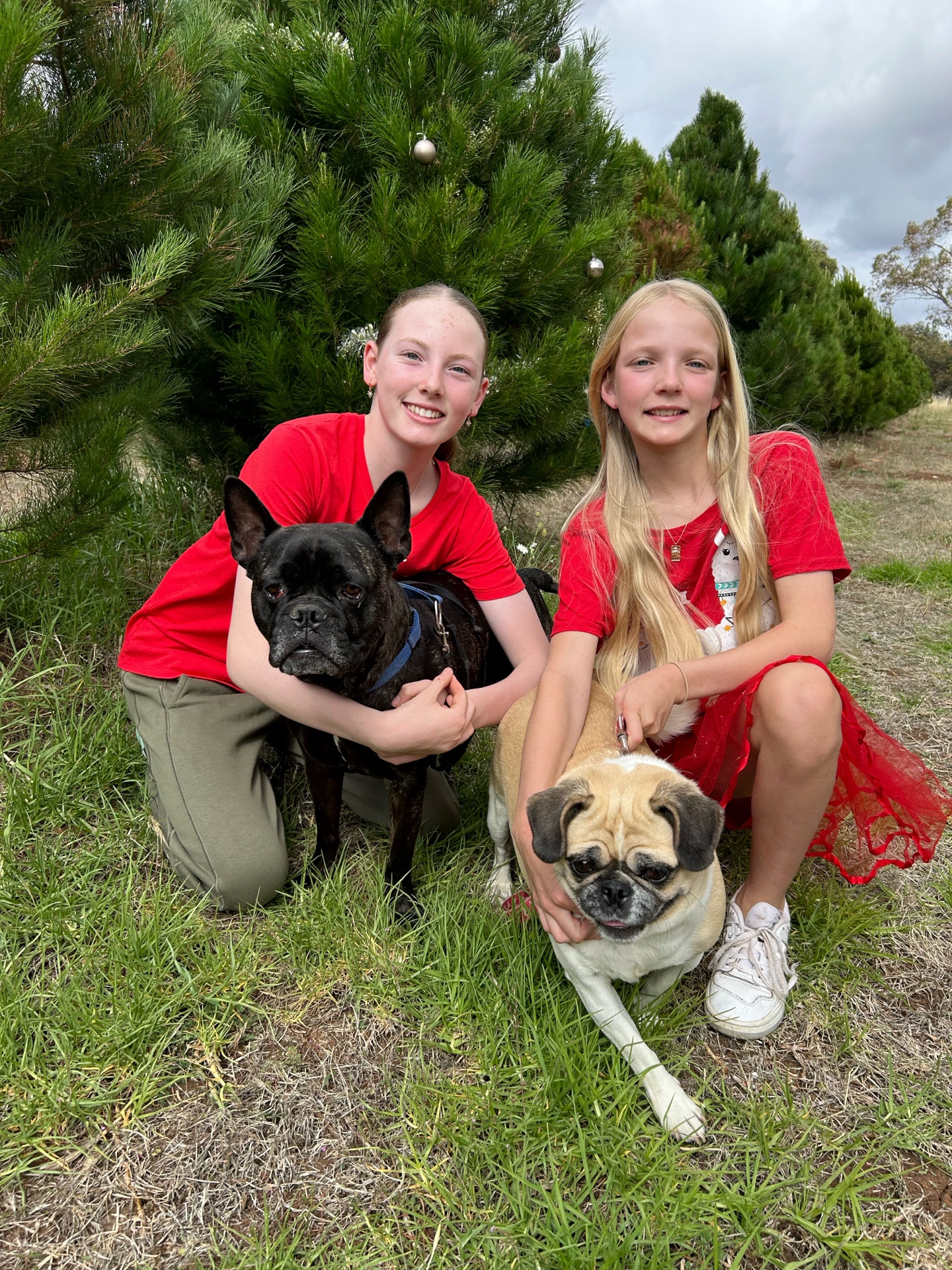 Children with dogs enjoying the farm experience